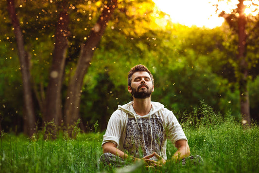 September Allergies in NZ – Perfecting the Air with Daikin