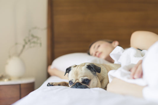 4 Ways to Get to Sleep on a Hot Summer Night